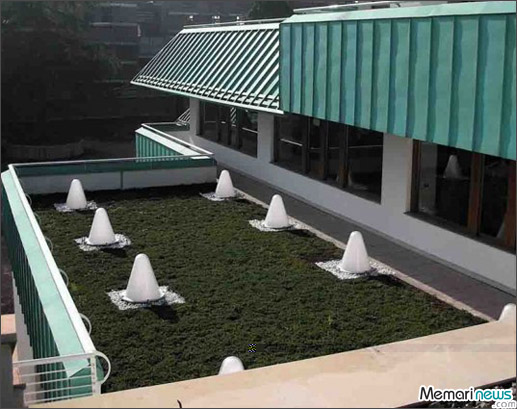فضای سبز پشت بام بیمارستان