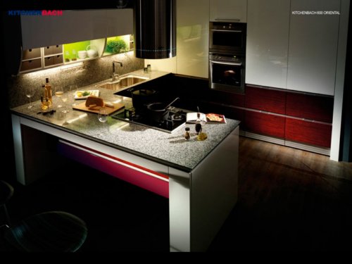 مدل های جدید دکوراسیون آشپزخانه 2010